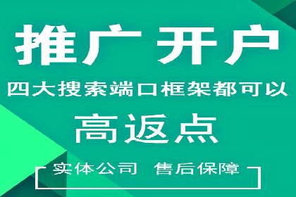 百度竞价广告投放策略：案例分析及优化建议